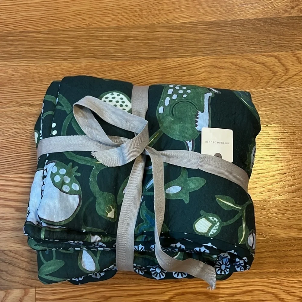 Anthropologie Nora Organic Cotton Printed King Shams NWT